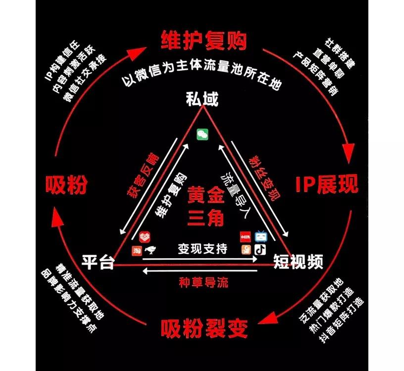 直播VS短视频带货,谁才是风口上的赢家？