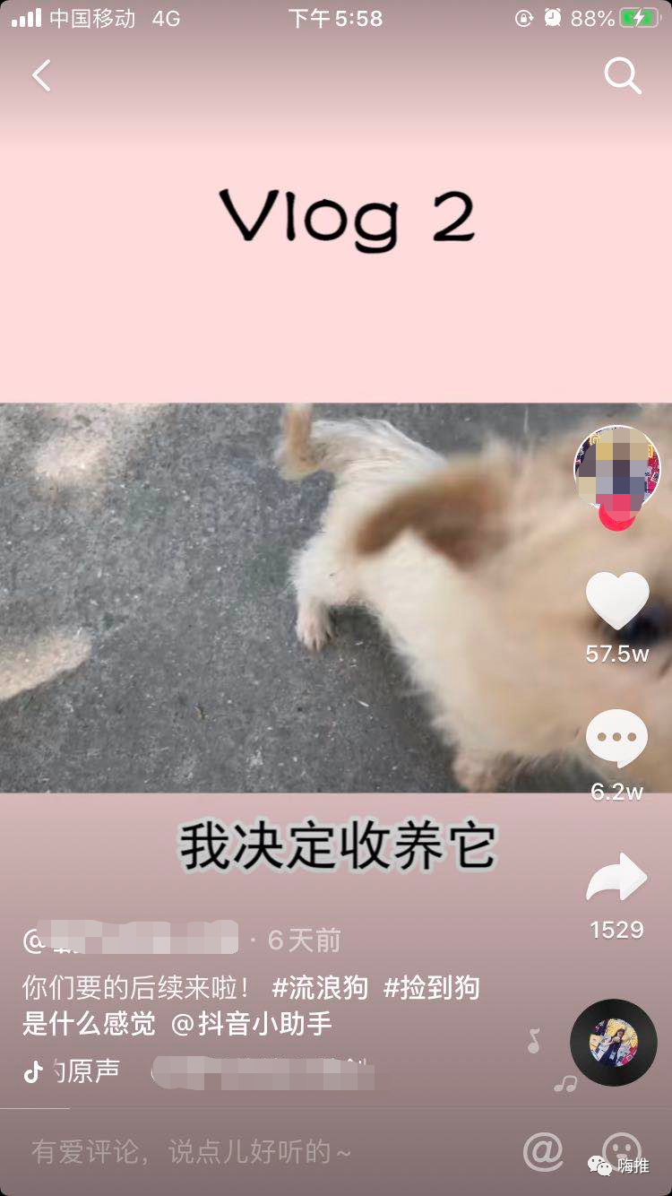 抖音吸粉700w的“财富密码”，到底有多能割？